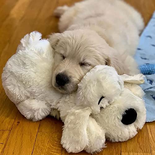 Original Snuggle Puppy Heartbeat Stuffed Dog Toy. Puppy Toy for Anxiety Relief, Calming Aid, and Comfort Toy for Behavioral Training in Golden