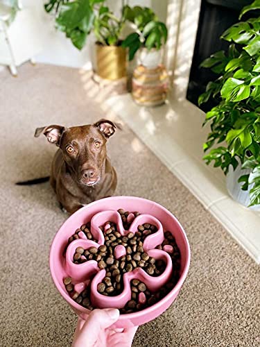 LE TAUCI Dog Bowls Slow Feeder Ceramic, 1.5 Cups Slow Feeding Dog Bowl Small Medium Breed, Puppy Slow Feeder Bowl for Fast Eater, Dog Dishes to Slow Down Eating, Puzzle Dog Food Bowl, Maze Purple