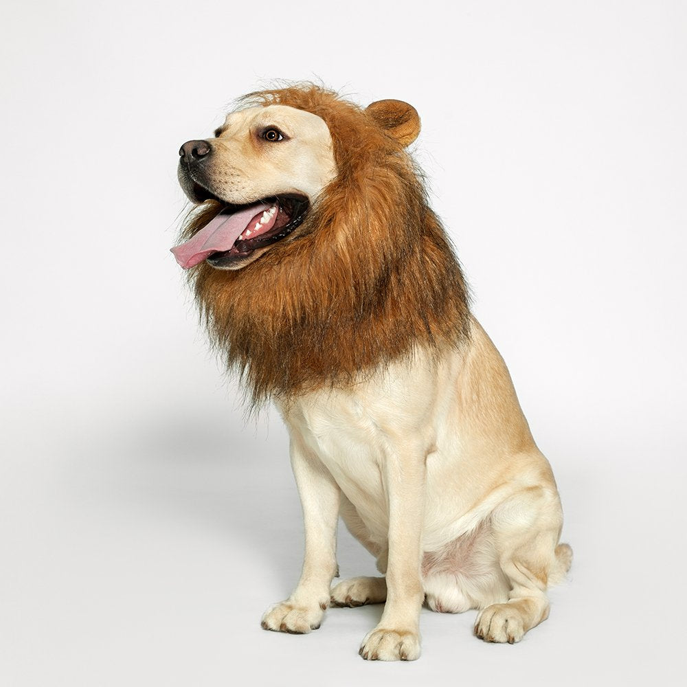 TOMSENN® Realistic & Funny Lion Mane for Dog Complementary Lion Mane for Dog Costumes for Medium to Large Sized Dogs Costumes for Animals