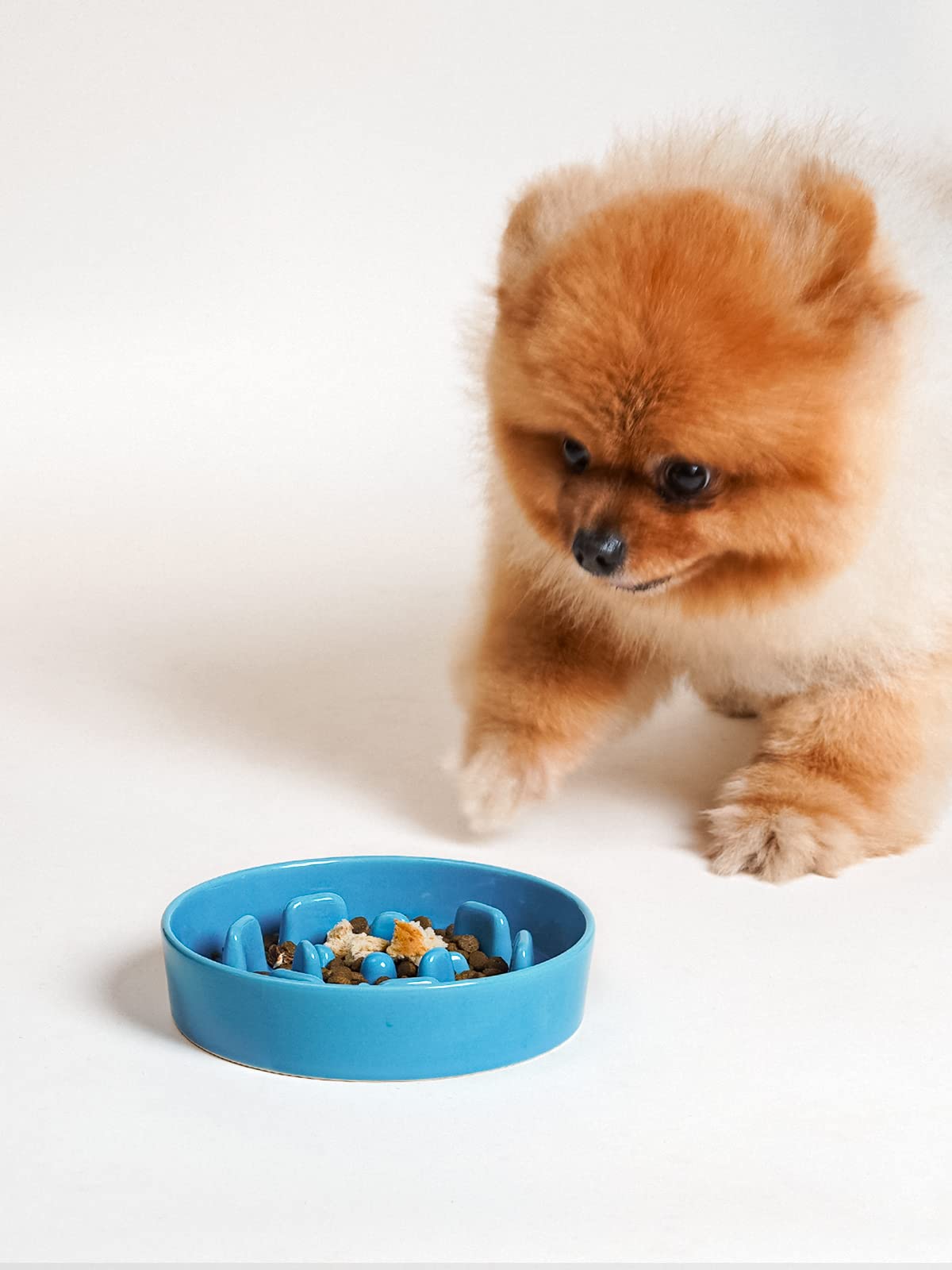 LE TAUCI Dog Bowls Slow Feeder Ceramic, 1.5 Cups Slow Feeding Dog Bowl Small Medium Breed, Puppy Slow Feeder Bowl for Fast Eater, Dog Dishes to Slow Down Eating, Puzzle Dog Food Bowl, Maze Purple