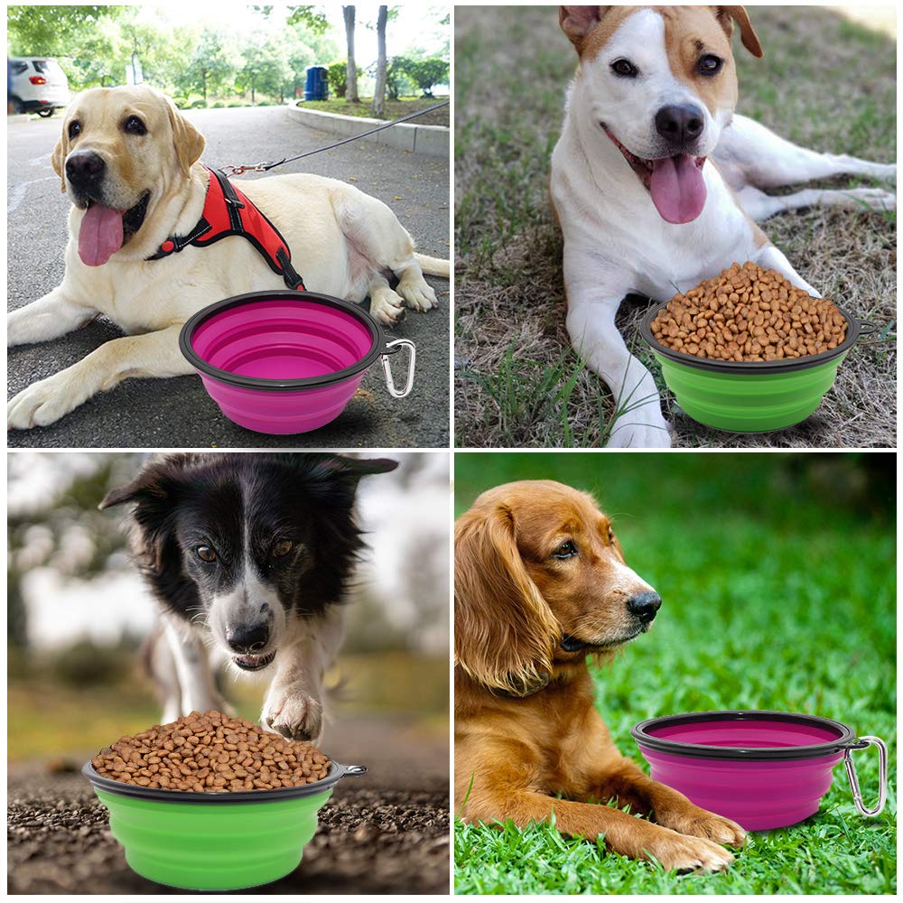 Dog Bowl Pet Collapsible Bowls, 2 Pack for Cats Dogs, Portable Pet Feeding Watering Dish for Walking Parking Traveling with 2 Carabiners (Small, Blue+Green)