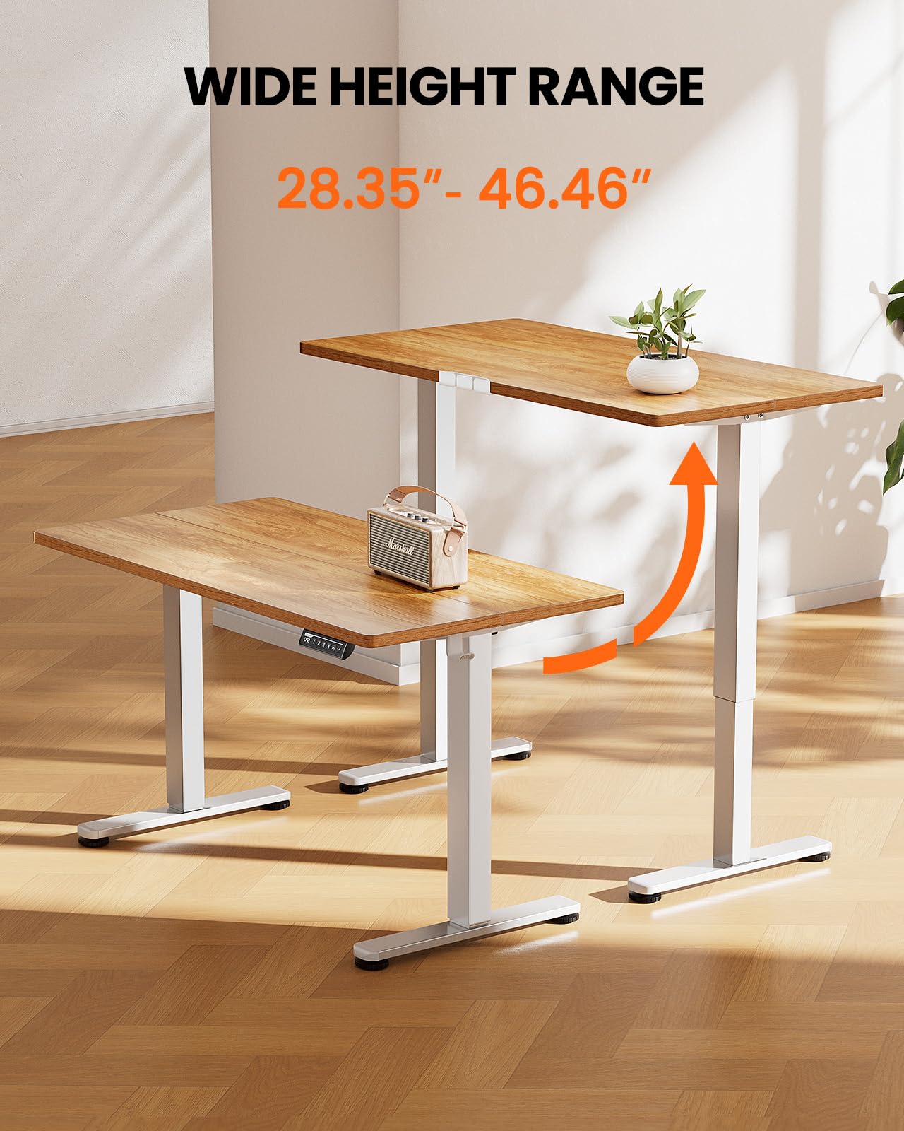 ErGear Height Adjustable Electric Standing Desk, 55 x 28 Inches Sit Stand up Desk, Large Memory Computer Home Office Desk with Two-Piece Desktop (Black)