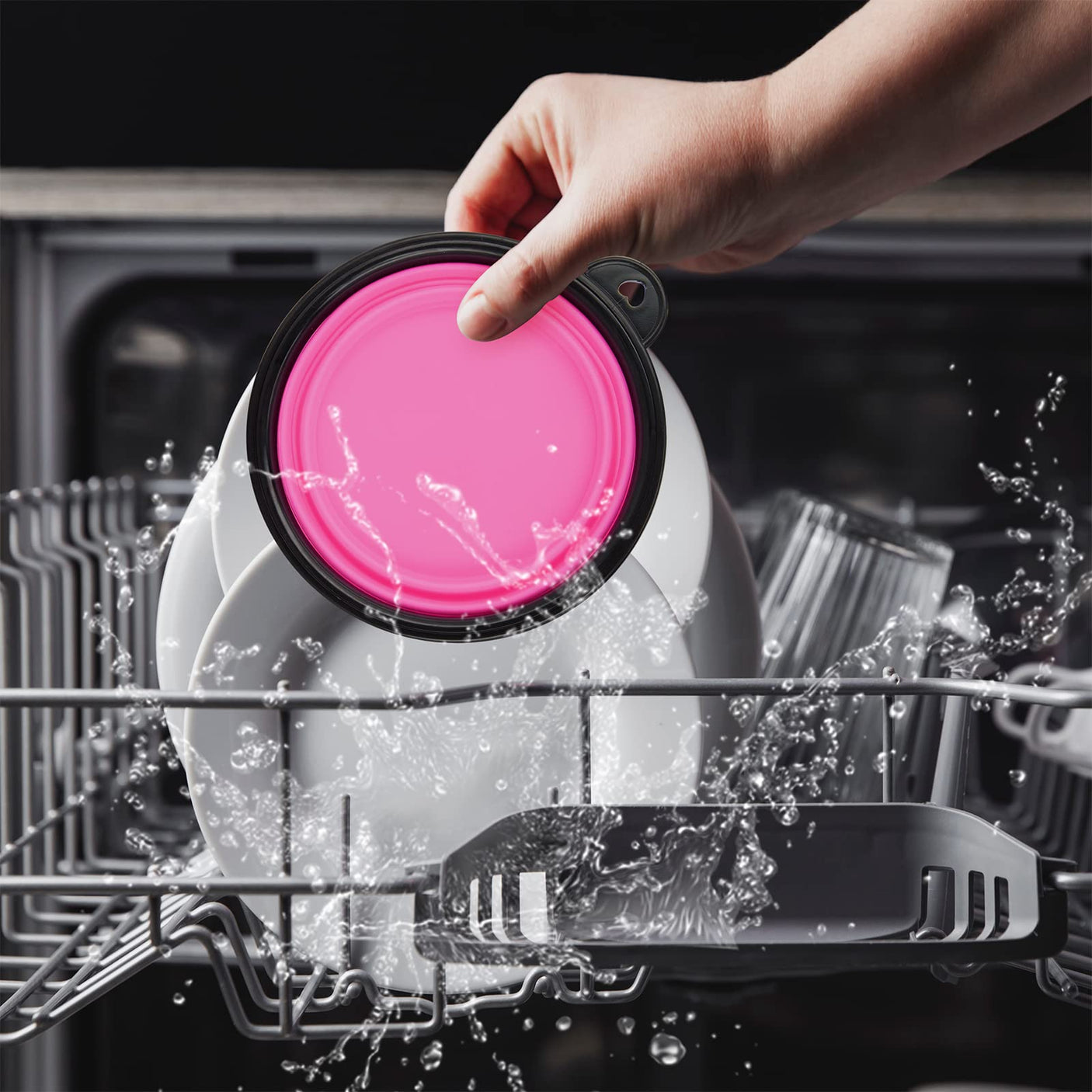 Dog Bowl Pet Collapsible Bowls, 2 Pack for Cats Dogs, Portable Pet Feeding Watering Dish for Walking Parking Traveling with 2 Carabiners (Small, Blue+Green)