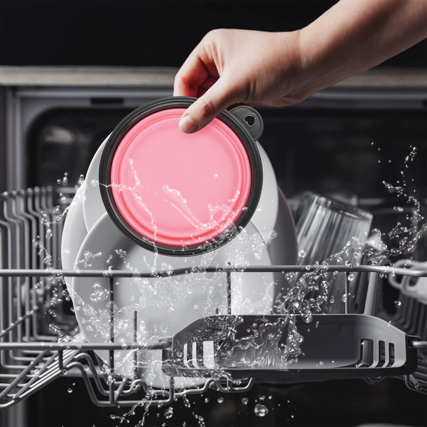 Dog Bowl Pet Collapsible Bowls, 2 Pack for Cats Dogs, Portable Pet Feeding Watering Dish for Walking Parking Traveling with 2 Carabiners (Small, Blue+Green)