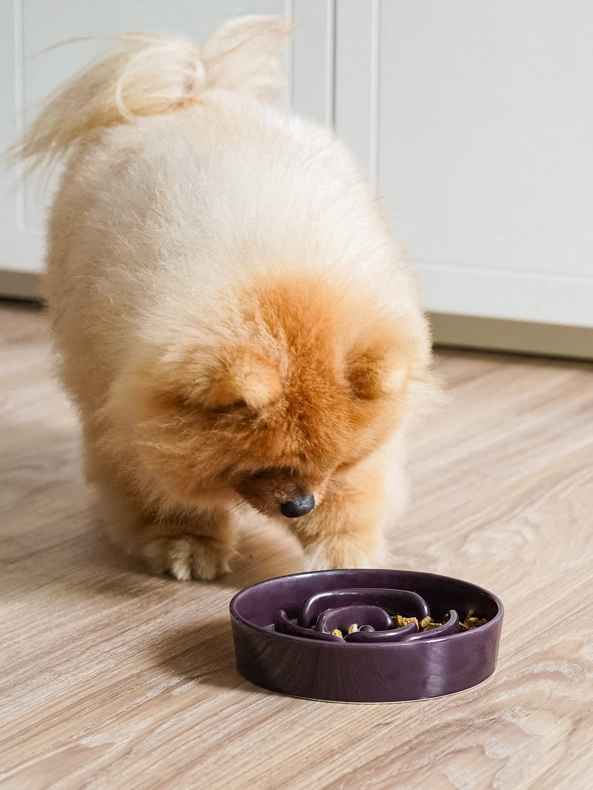 LE TAUCI Dog Bowls Slow Feeder Ceramic, 1.5 Cups Slow Feeding Dog Bowl Small Medium Breed, Puppy Slow Feeder Bowl for Fast Eater, Dog Dishes to Slow Down Eating, Puzzle Dog Food Bowl, Maze Purple