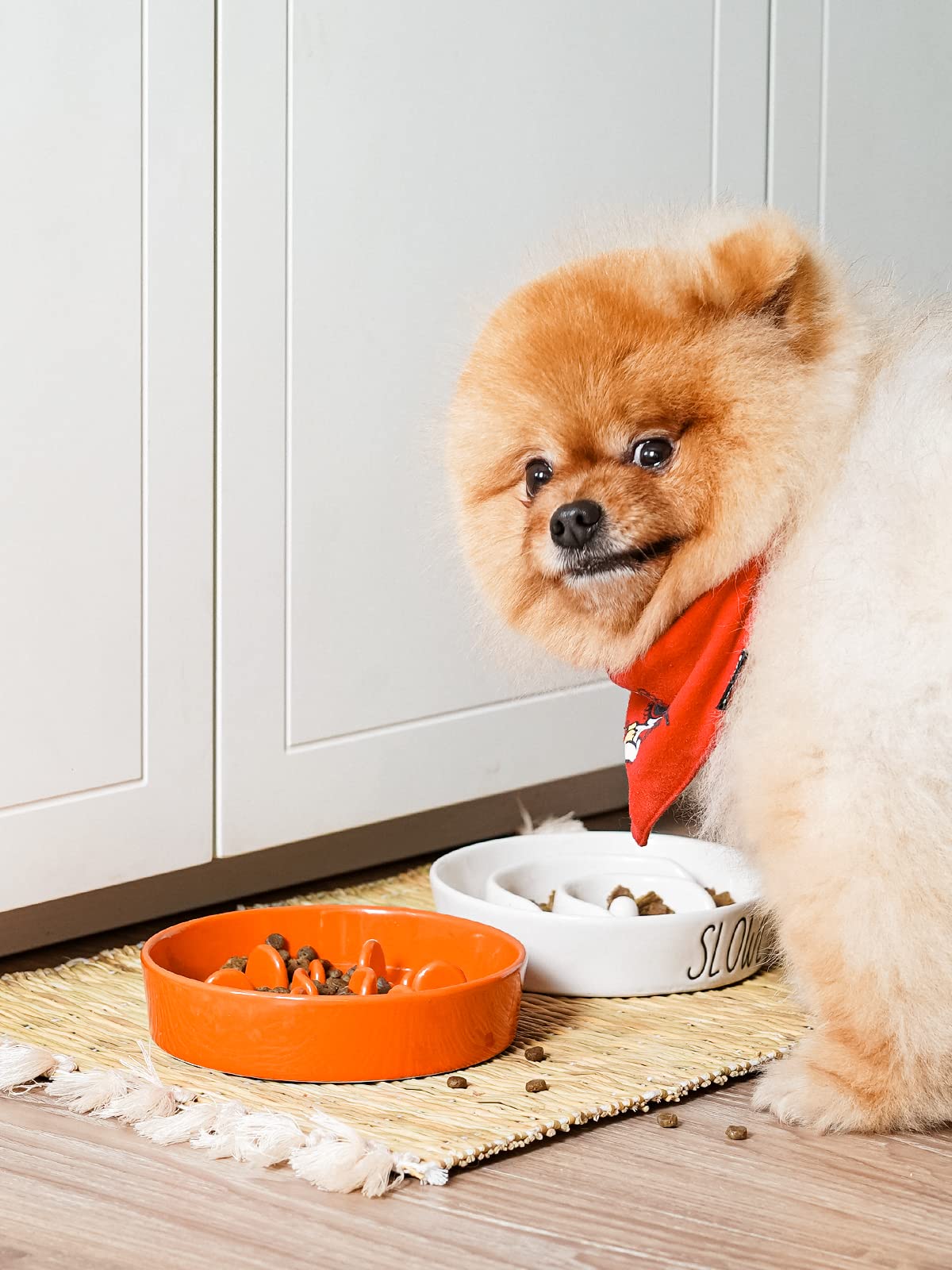 LE TAUCI Dog Bowls Slow Feeder Ceramic, 1.5 Cups Slow Feeding Dog Bowl Small Medium Breed, Puppy Slow Feeder Bowl for Fast Eater, Dog Dishes to Slow Down Eating, Puzzle Dog Food Bowl, Maze Purple