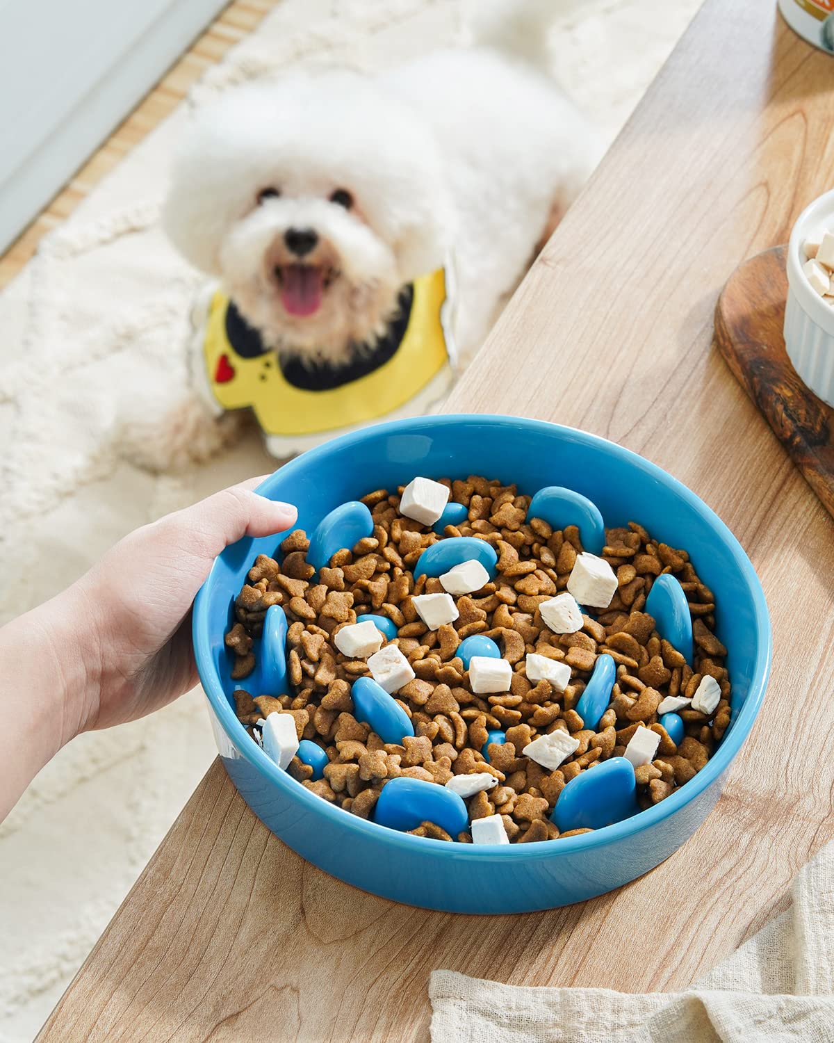 LE TAUCI Dog Bowls Slow Feeder Ceramic, 1.5 Cups Slow Feeding Dog Bowl Small Medium Breed, Puppy Slow Feeder Bowl for Fast Eater, Dog Dishes to Slow Down Eating, Puzzle Dog Food Bowl, Maze Purple
