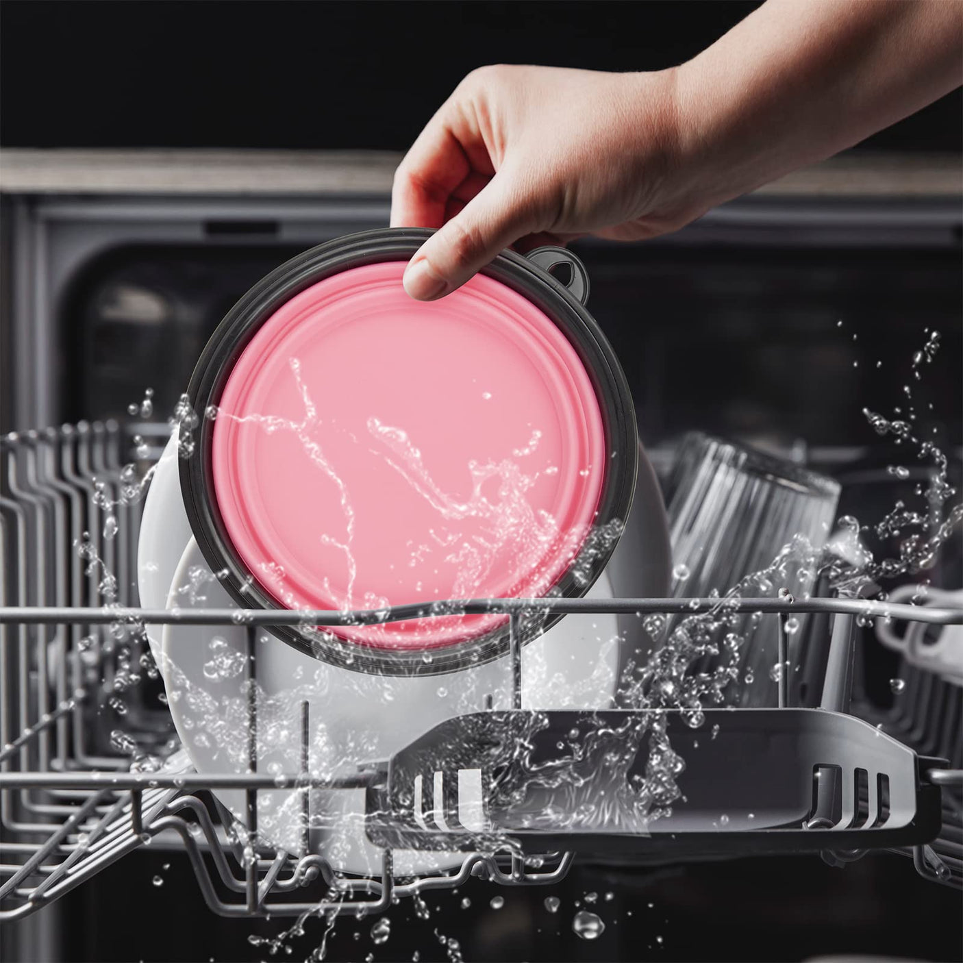 Dog Bowl Pet Collapsible Bowls, 2 Pack for Cats Dogs, Portable Pet Feeding Watering Dish for Walking Parking Traveling with 2 Carabiners (Small, Blue+Green)