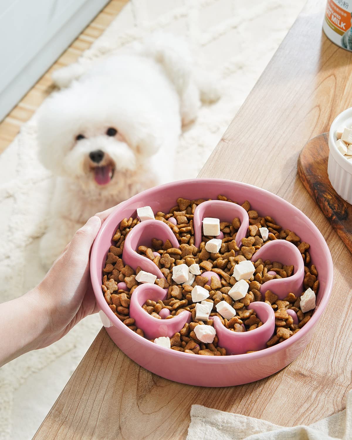 LE TAUCI Dog Bowls Slow Feeder Ceramic, 1.5 Cups Slow Feeding Dog Bowl Small Medium Breed, Puppy Slow Feeder Bowl for Fast Eater, Dog Dishes to Slow Down Eating, Puzzle Dog Food Bowl, Maze Purple