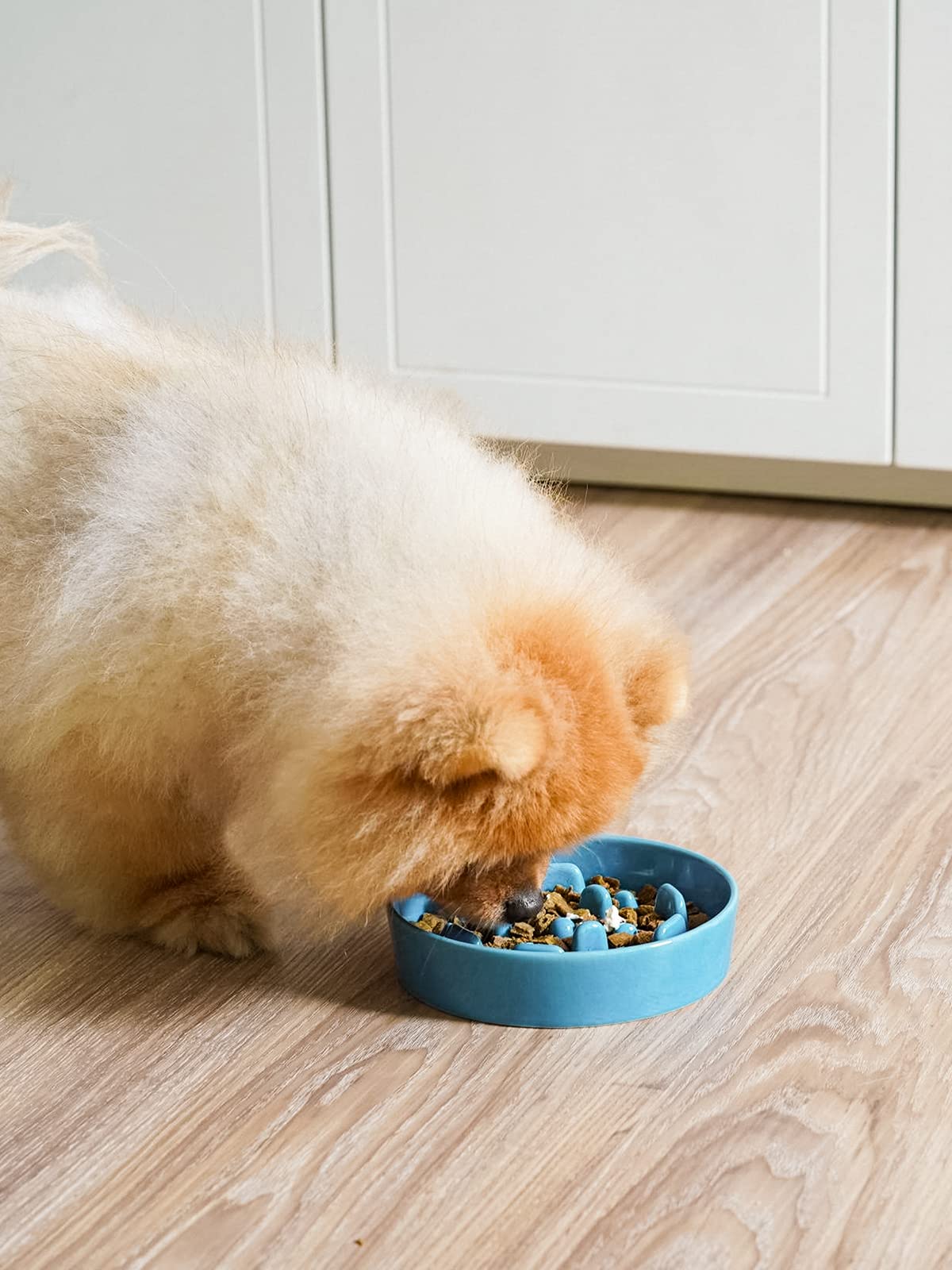 LE TAUCI Dog Bowls Slow Feeder Ceramic, 1.5 Cups Slow Feeding Dog Bowl Small Medium Breed, Puppy Slow Feeder Bowl for Fast Eater, Dog Dishes to Slow Down Eating, Puzzle Dog Food Bowl, Maze Purple