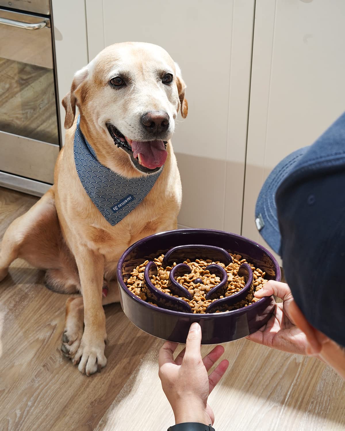 LE TAUCI Dog Bowls Slow Feeder Ceramic, 1.5 Cups Slow Feeding Dog Bowl Small Medium Breed, Puppy Slow Feeder Bowl for Fast Eater, Dog Dishes to Slow Down Eating, Puzzle Dog Food Bowl, Maze Purple