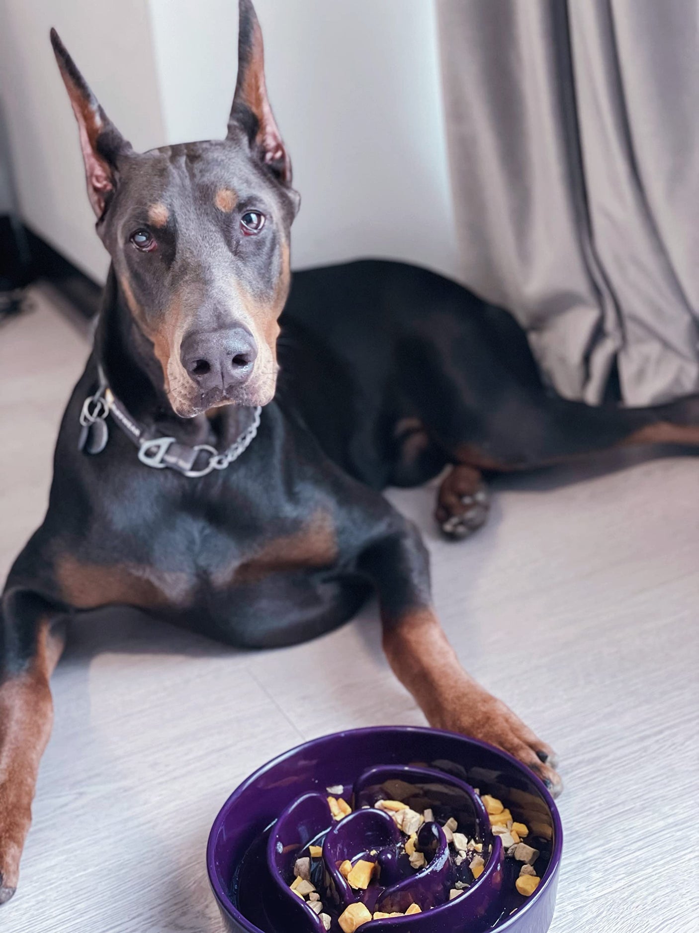 LE TAUCI Dog Bowls Slow Feeder Ceramic, 1.5 Cups Slow Feeding Dog Bowl Small Medium Breed, Puppy Slow Feeder Bowl for Fast Eater, Dog Dishes to Slow Down Eating, Puzzle Dog Food Bowl, Maze Purple