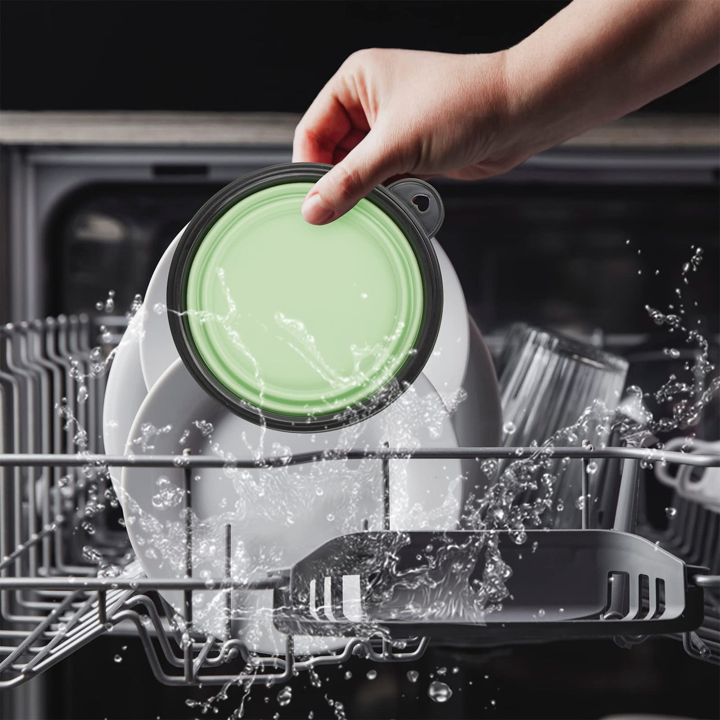 Dog Bowl Pet Collapsible Bowls, 2 Pack for Cats Dogs, Portable Pet Feeding Watering Dish for Walking Parking Traveling with 2 Carabiners (Small, Blue+Green)