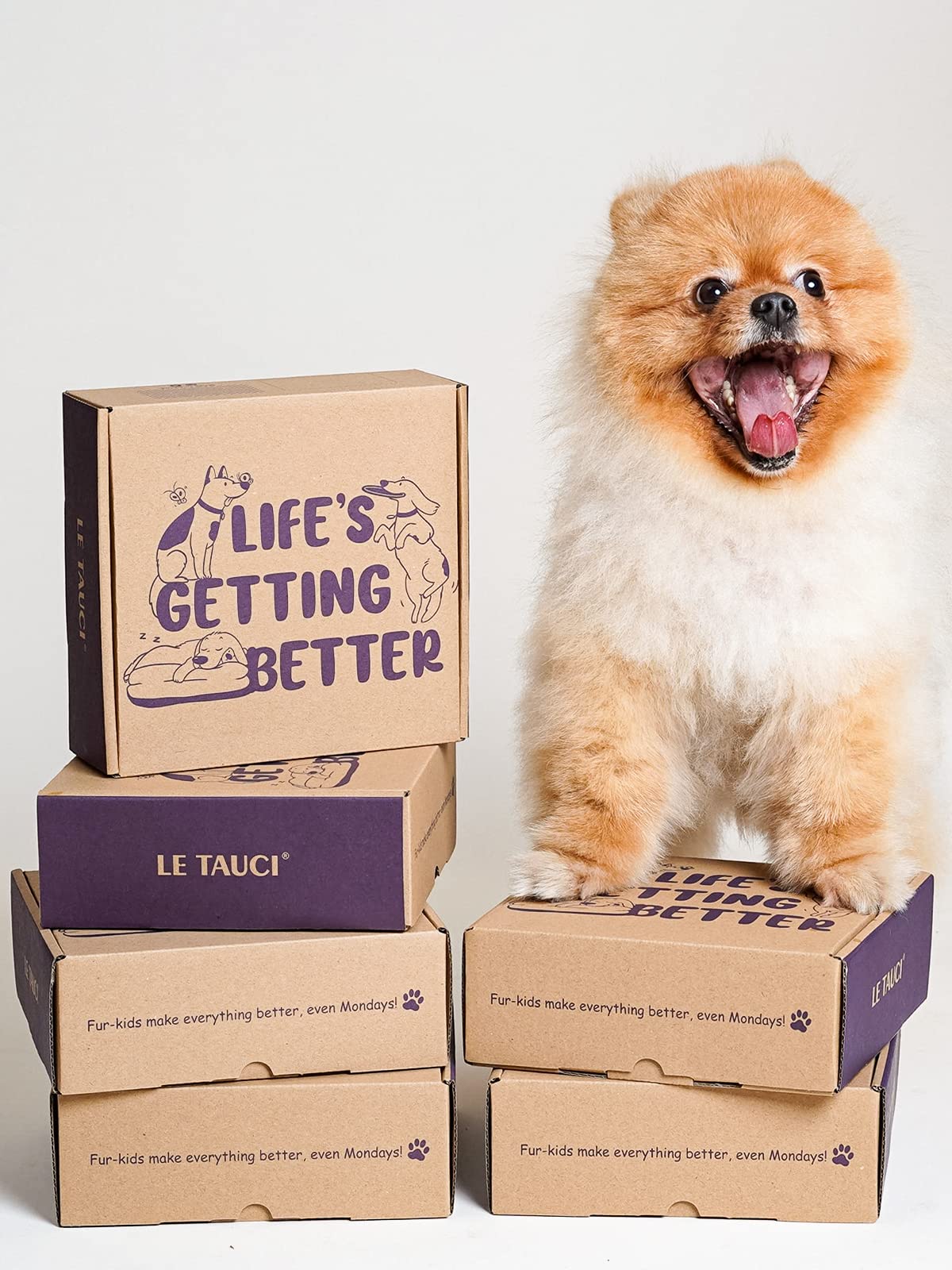 LE TAUCI Dog Bowls Slow Feeder Ceramic, 1.5 Cups Slow Feeding Dog Bowl Small Medium Breed, Puppy Slow Feeder Bowl for Fast Eater, Dog Dishes to Slow Down Eating, Puzzle Dog Food Bowl, Maze Purple