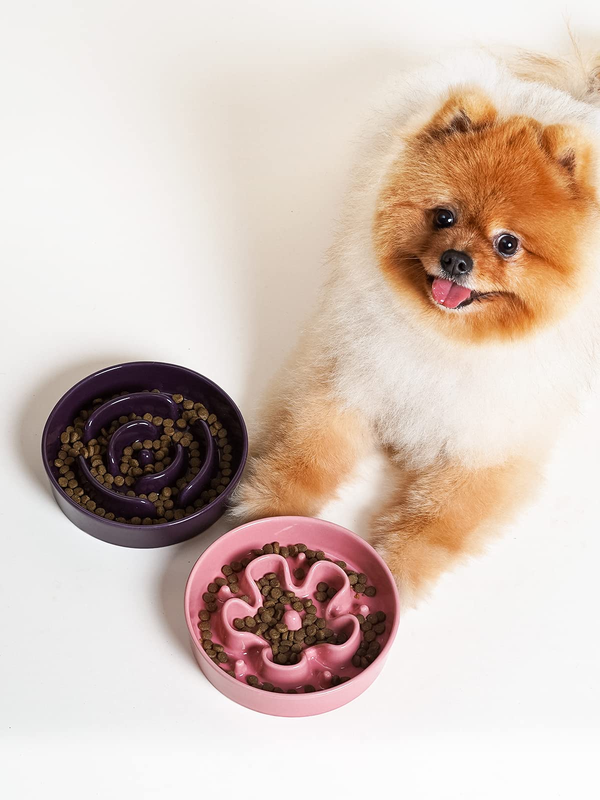 LE TAUCI Dog Bowls Slow Feeder Ceramic, 1.5 Cups Slow Feeding Dog Bowl Small Medium Breed, Puppy Slow Feeder Bowl for Fast Eater, Dog Dishes to Slow Down Eating, Puzzle Dog Food Bowl, Maze Purple