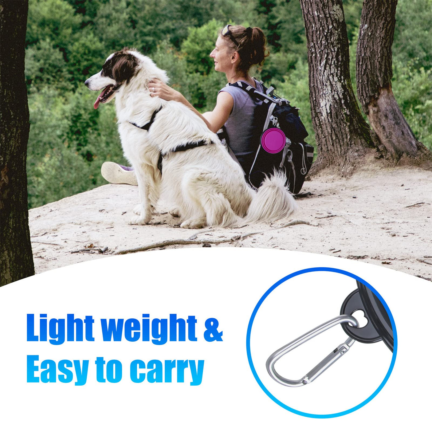 Dog Bowl Pet Collapsible Bowls, 2 Pack for Cats Dogs, Portable Pet Feeding Watering Dish for Walking Parking Traveling with 2 Carabiners (Small, Blue+Green)