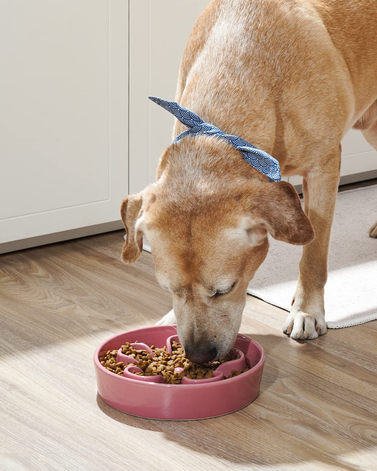 LE TAUCI Dog Bowls Slow Feeder Ceramic, 1.5 Cups Slow Feeding Dog Bowl Small Medium Breed, Puppy Slow Feeder Bowl for Fast Eater, Dog Dishes to Slow Down Eating, Puzzle Dog Food Bowl, Maze Purple