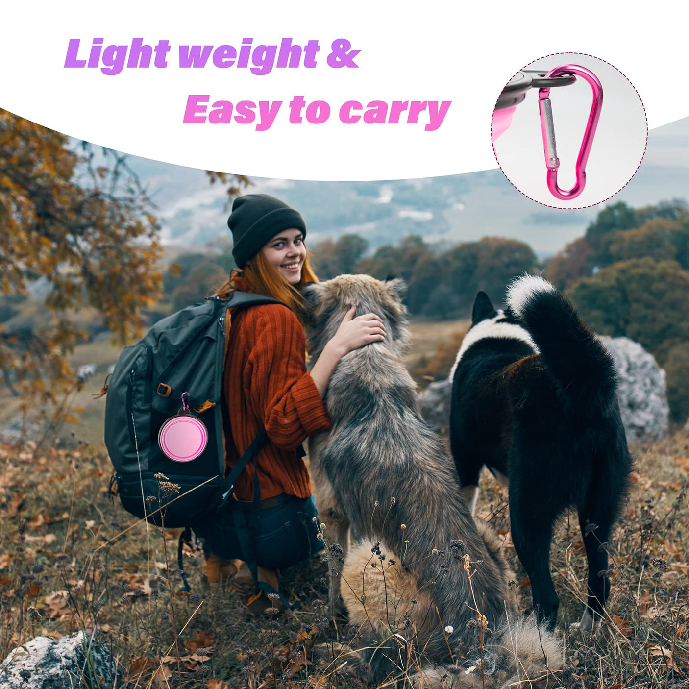 Dog Bowl Pet Collapsible Bowls, 2 Pack for Cats Dogs, Portable Pet Feeding Watering Dish for Walking Parking Traveling with 2 Carabiners (Small, Blue+Green)