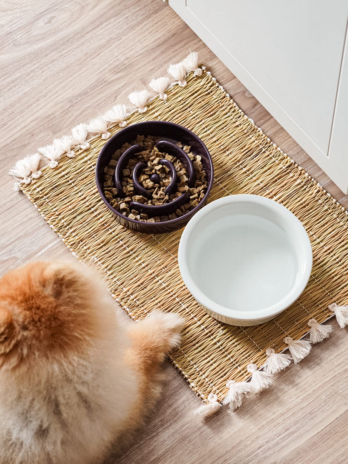 LE TAUCI Dog Bowls Slow Feeder Ceramic, 1.5 Cups Slow Feeding Dog Bowl Small Medium Breed, Puppy Slow Feeder Bowl for Fast Eater, Dog Dishes to Slow Down Eating, Puzzle Dog Food Bowl, Maze Purple