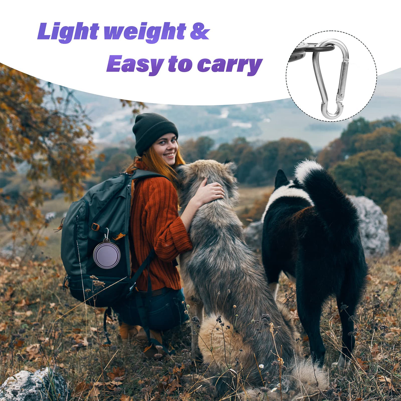 Dog Bowl Pet Collapsible Bowls, 2 Pack for Cats Dogs, Portable Pet Feeding Watering Dish for Walking Parking Traveling with 2 Carabiners (Small, Blue+Green)