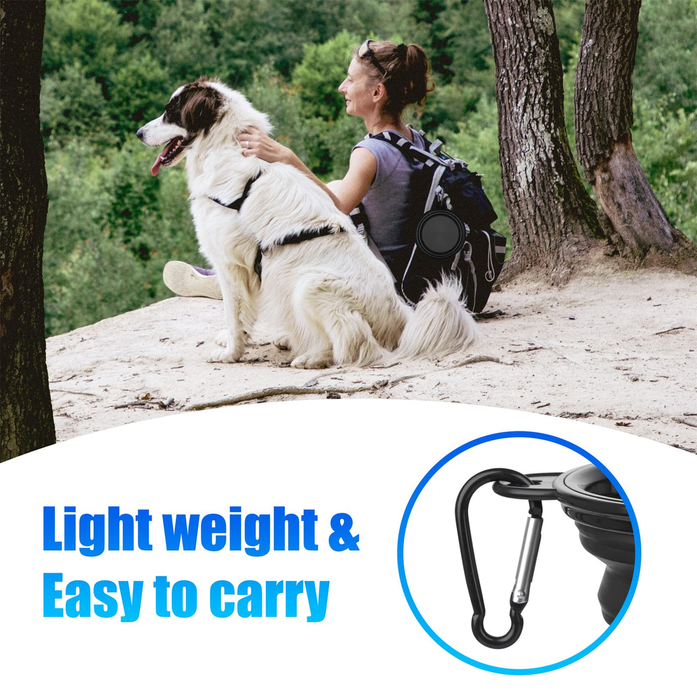 Dog Bowl Pet Collapsible Bowls, 2 Pack for Cats Dogs, Portable Pet Feeding Watering Dish for Walking Parking Traveling with 2 Carabiners (Small, Blue+Green)