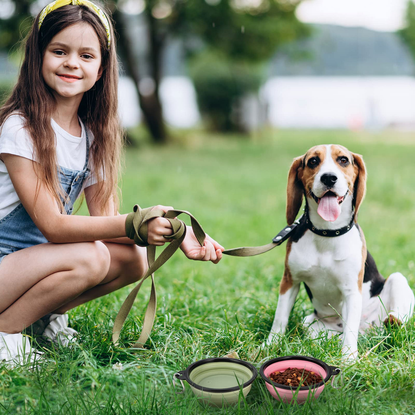 Dog Bowl Pet Collapsible Bowls, 2 Pack for Cats Dogs, Portable Pet Feeding Watering Dish for Walking Parking Traveling with 2 Carabiners (Small, Blue+Green)