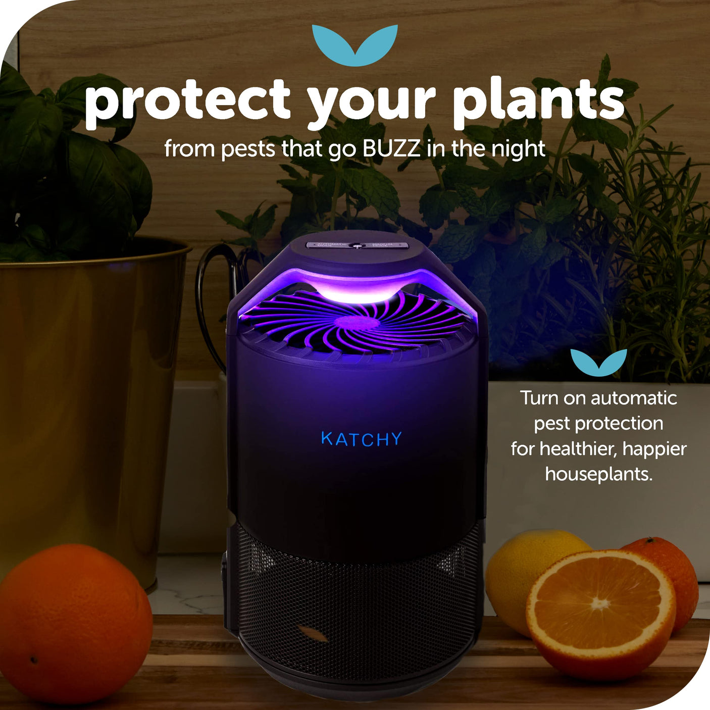 Katchy Indoor Insect Trap - Catcher & Killer for Mosquitos, Gnats, Moths, Fruit Flies - Non-Zapper Traps for Inside Your Home - Catch Insects Indoors with Suction, Bug Light & Sticky Glue (Black)