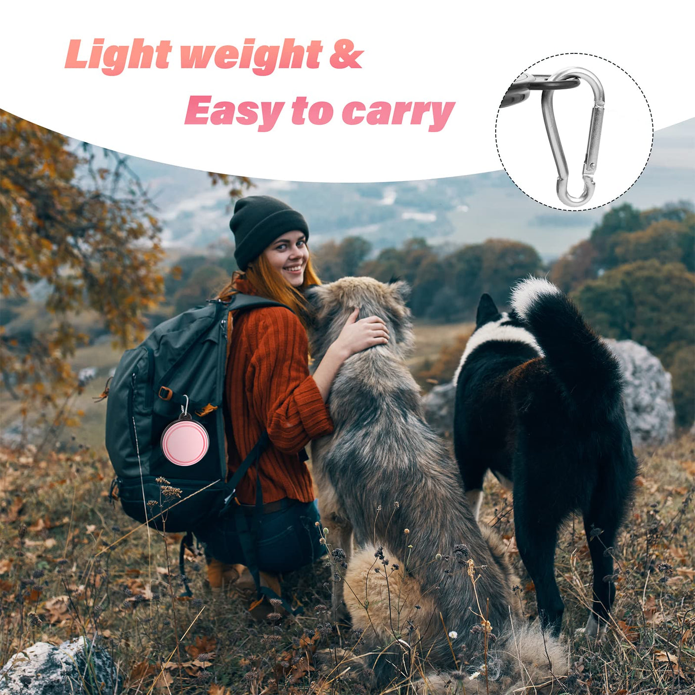 Dog Bowl Pet Collapsible Bowls, 2 Pack for Cats Dogs, Portable Pet Feeding Watering Dish for Walking Parking Traveling with 2 Carabiners (Small, Blue+Green)