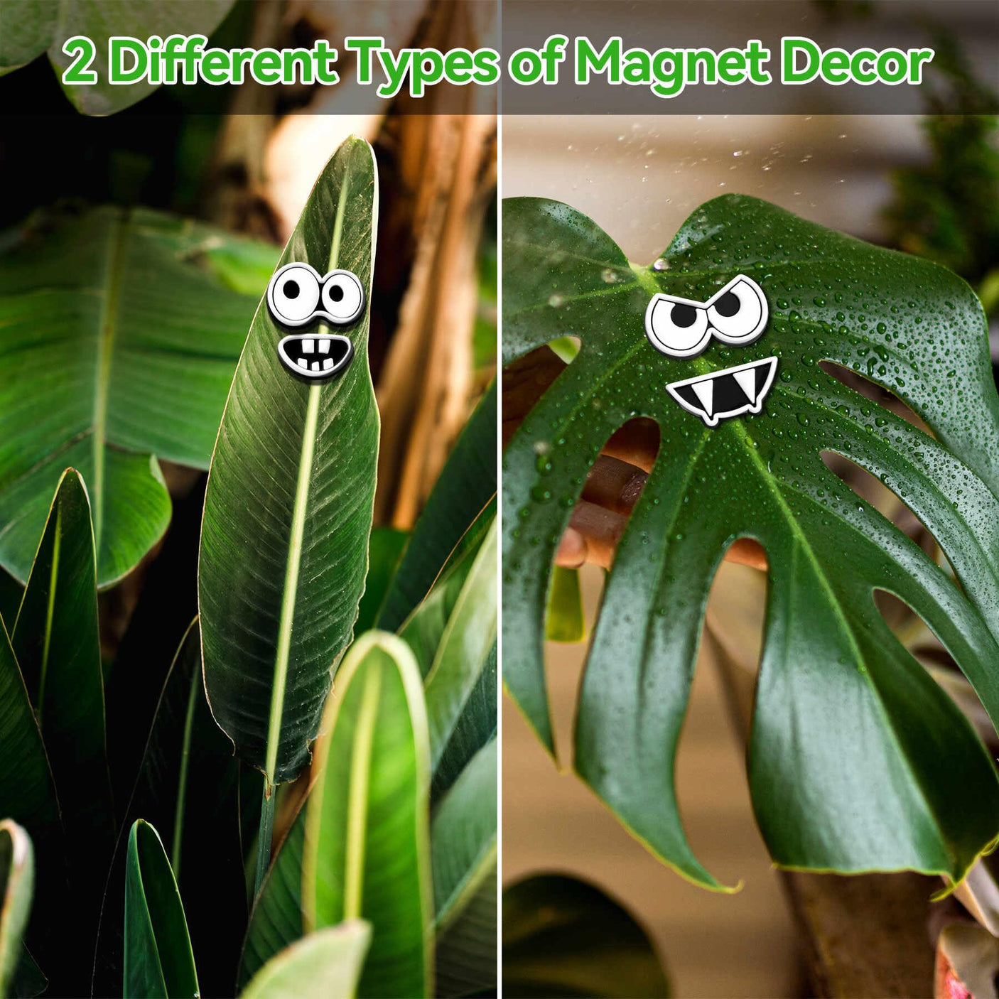 Plant Magnets Eyes for Potted Plants 8 PCS Cute Magnetic Plant Eyes with Cartoon Eyes, Funny Plants Pins for Indoor Outdoor Office Plants Accessories, Plants Lover Gifts, Magnets for Fridge