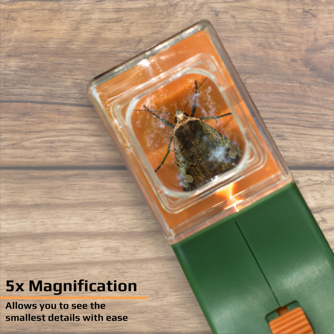 Carson BugView 5x Magnifier Quick-Release Bug Catching Tool, Stem Educational Toy for Kids and Adults (HU-10)
