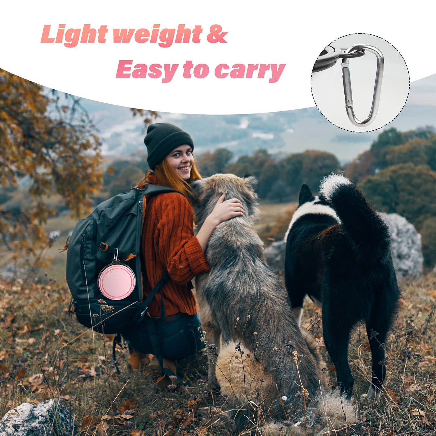 Dog Bowl Pet Collapsible Bowls, 2 Pack for Cats Dogs, Portable Pet Feeding Watering Dish for Walking Parking Traveling with 2 Carabiners (Small, Blue+Green)