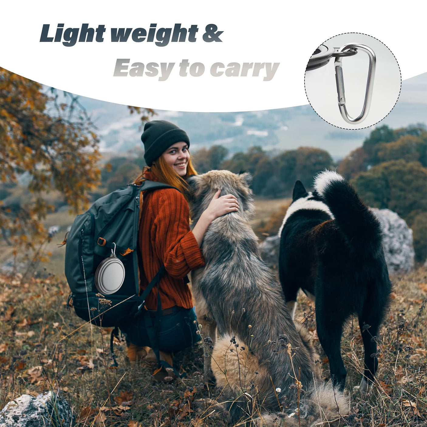 Dog Bowl Pet Collapsible Bowls, 2 Pack for Cats Dogs, Portable Pet Feeding Watering Dish for Walking Parking Traveling with 2 Carabiners (Small, Blue+Green)