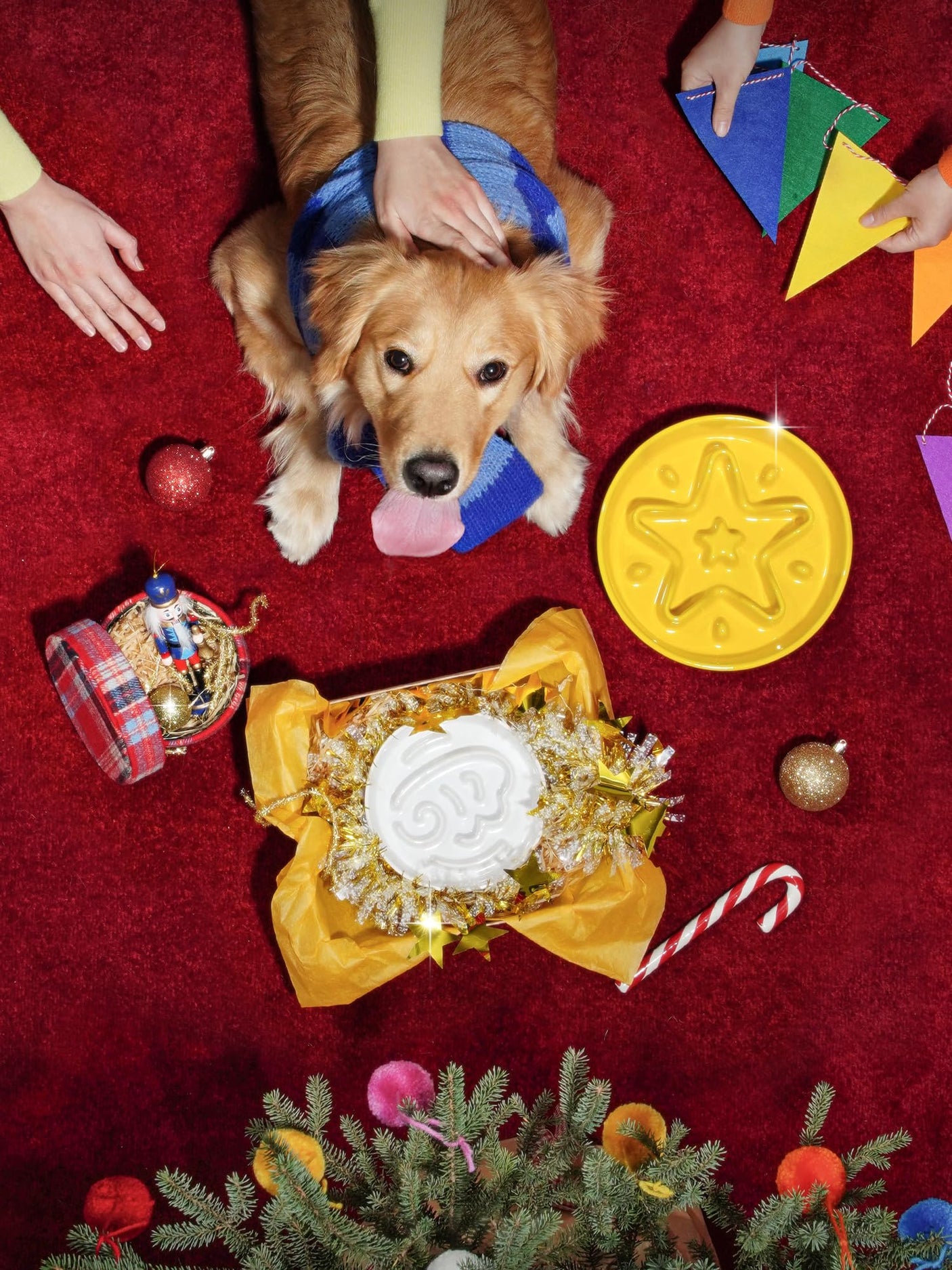 LE TAUCI Dog Bowls Slow Feeder Ceramic, 1.5 Cups Slow Feeding Dog Bowl Small Medium Breed, Puppy Slow Feeder Bowl for Fast Eater, Dog Dishes to Slow Down Eating, Puzzle Dog Food Bowl, Maze Purple