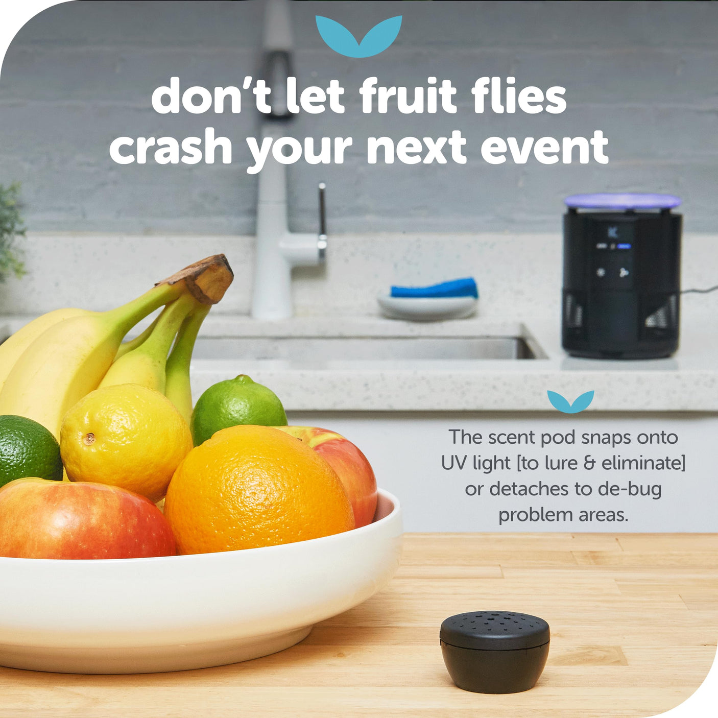 Katchy Indoor Insect Trap - Catcher & Killer for Mosquitos, Gnats, Moths, Fruit Flies - Non-Zapper Traps for Inside Your Home - Catch Insects Indoors with Suction, Bug Light & Sticky Glue (Black)