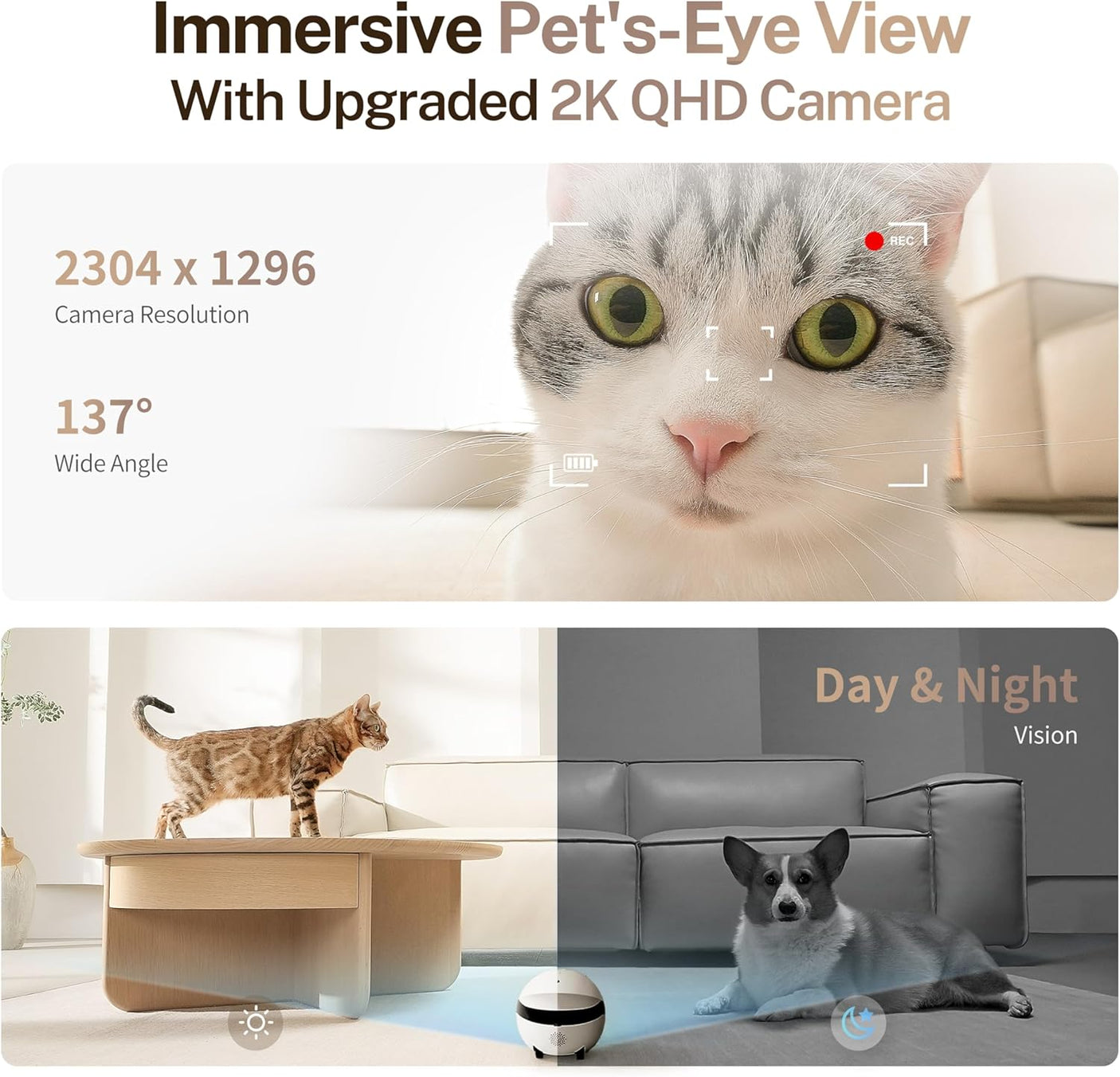Enabot EBO 2K Camera Robot ROLA Mini: Movable Pet Camera Battery-Powered with Phone App, Indoor Cam w/One-Touch Call, 2-Way Talk, Night Vision, Motion Detection, Video Recording