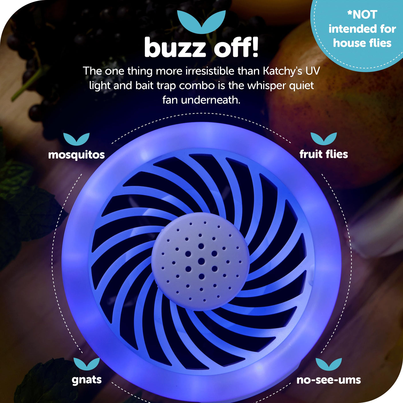 Katchy Indoor Insect Trap - Catcher & Killer for Mosquitos, Gnats, Moths, Fruit Flies - Non-Zapper Traps for Inside Your Home - Catch Insects Indoors with Suction, Bug Light & Sticky Glue (Black)