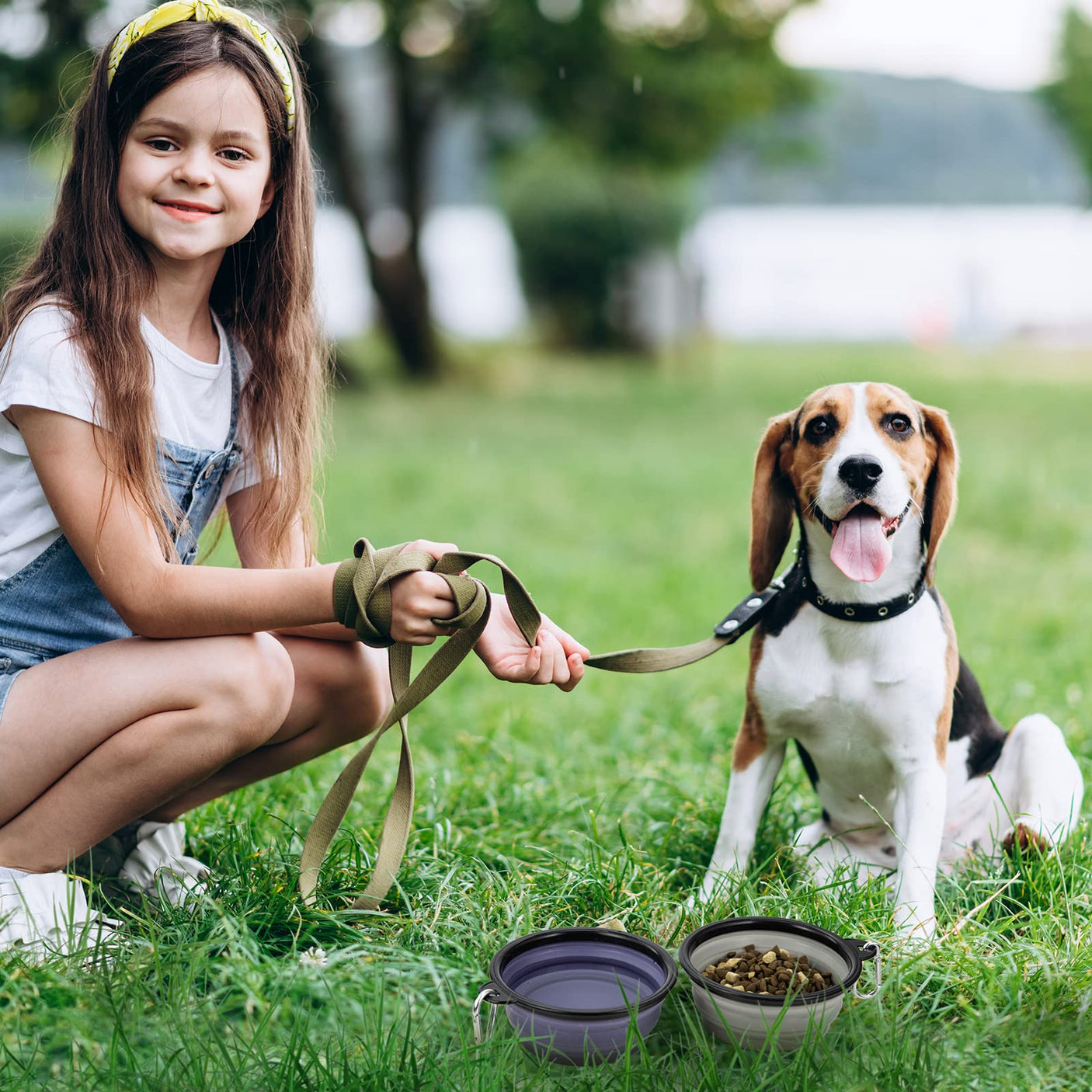 Dog Bowl Pet Collapsible Bowls, 2 Pack for Cats Dogs, Portable Pet Feeding Watering Dish for Walking Parking Traveling with 2 Carabiners (Small, Blue+Green)