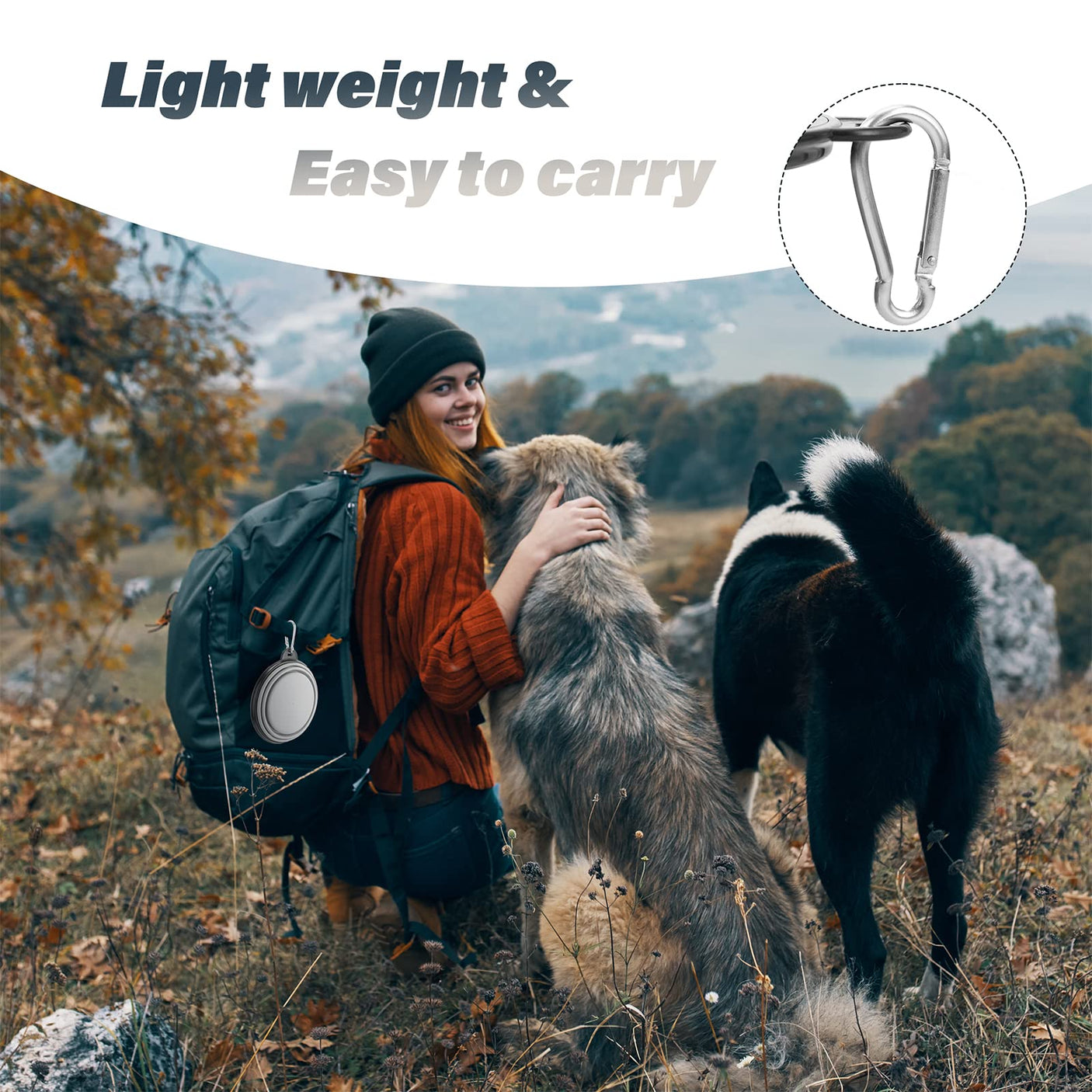 Dog Bowl Pet Collapsible Bowls, 2 Pack for Cats Dogs, Portable Pet Feeding Watering Dish for Walking Parking Traveling with 2 Carabiners (Small, Blue+Green)