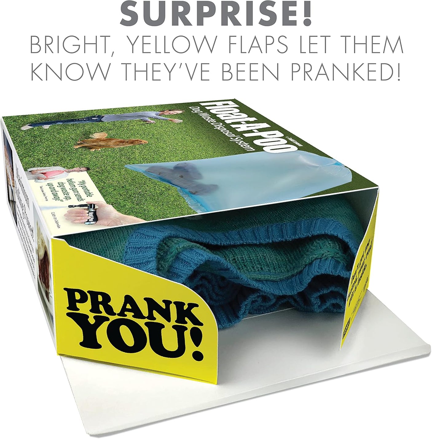 Prank - O Float - A - Poo Empty Prank Gift Box, Pet Day, Wrap Your Real Present in a Funny Authentic Prank - O Joke Present Box, Novelty Gifting Box for Pranksters, Gag Gift Wrap for Mother's Day - Build Your Ideas