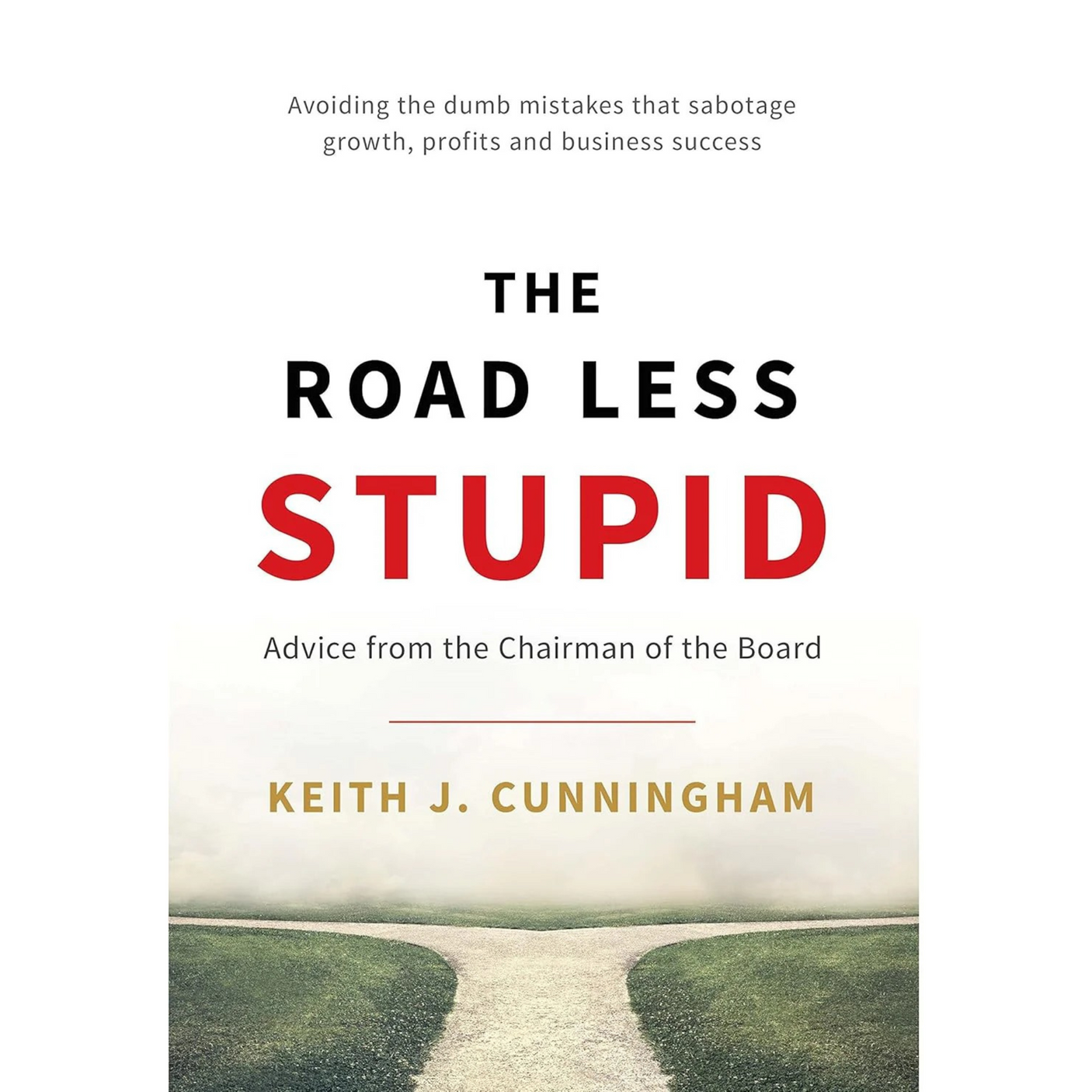 The Road Less Stupid
