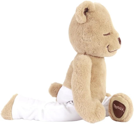 Meddy Teddy The Yoga Bear