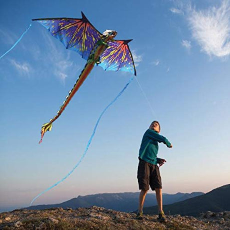 WindNSun Supersize 3D Nylon Kites