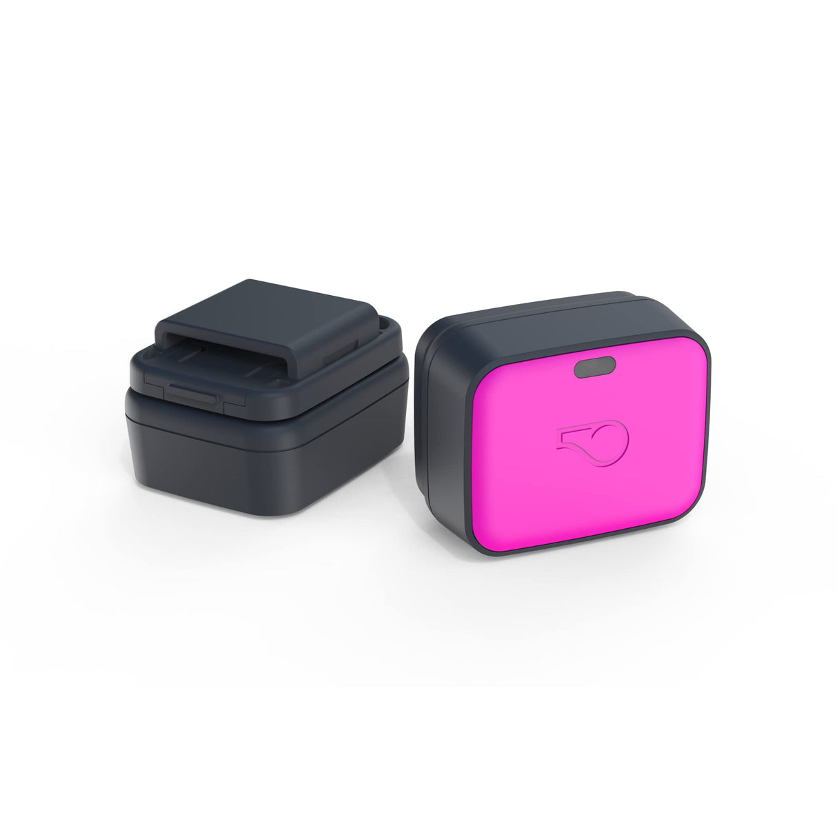 Whistle Go Explore/The Ultimate Health + GPS Location Tracker for Pets/Grey