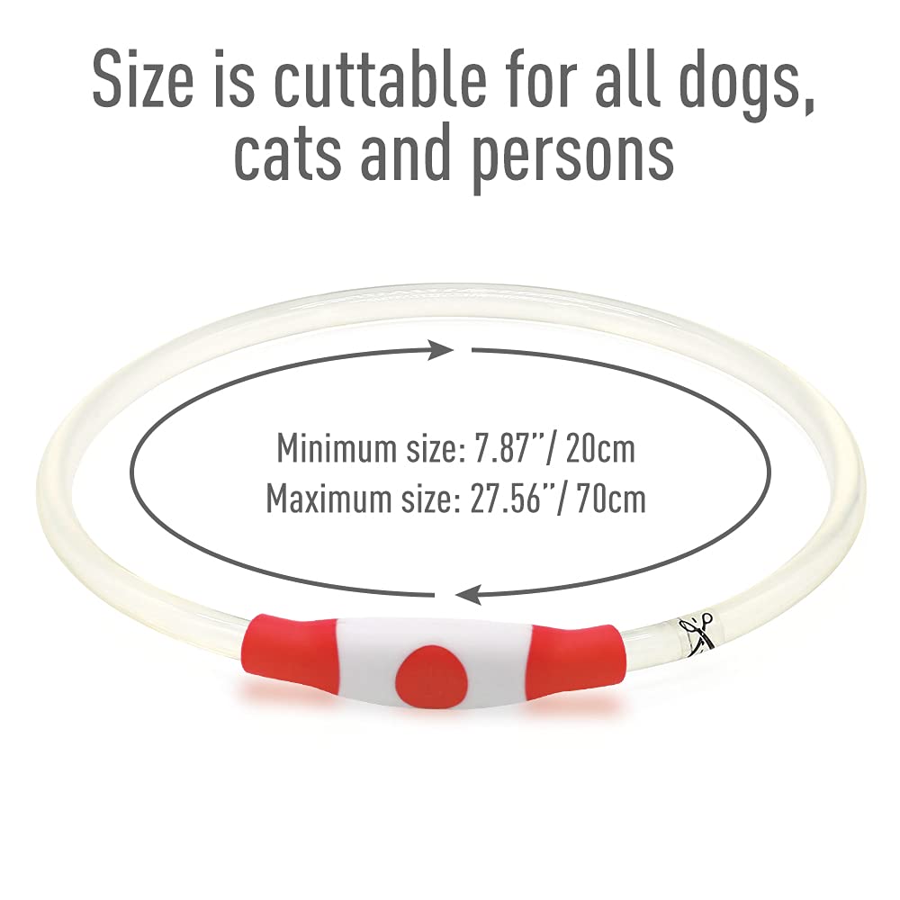 Colaseeme LED Dog Collar Light Up Dog Collars 1 Count USB Rechargeable TPU Glow Safety Basic Dog Collars, Please Do Not Use Fast Charging (Green)