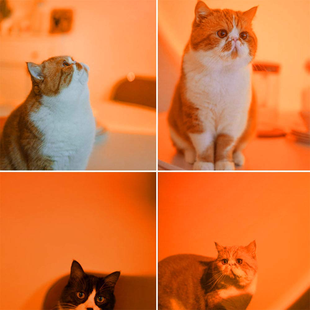 YouOKLight Sunset Lamp, Sunset Projector Lamp 10W LED Sunset Light Night Light 180 Degree Rotation Romantic Rainbow Light USB Charging for Bedroom Party Home Decor, Rainbow…