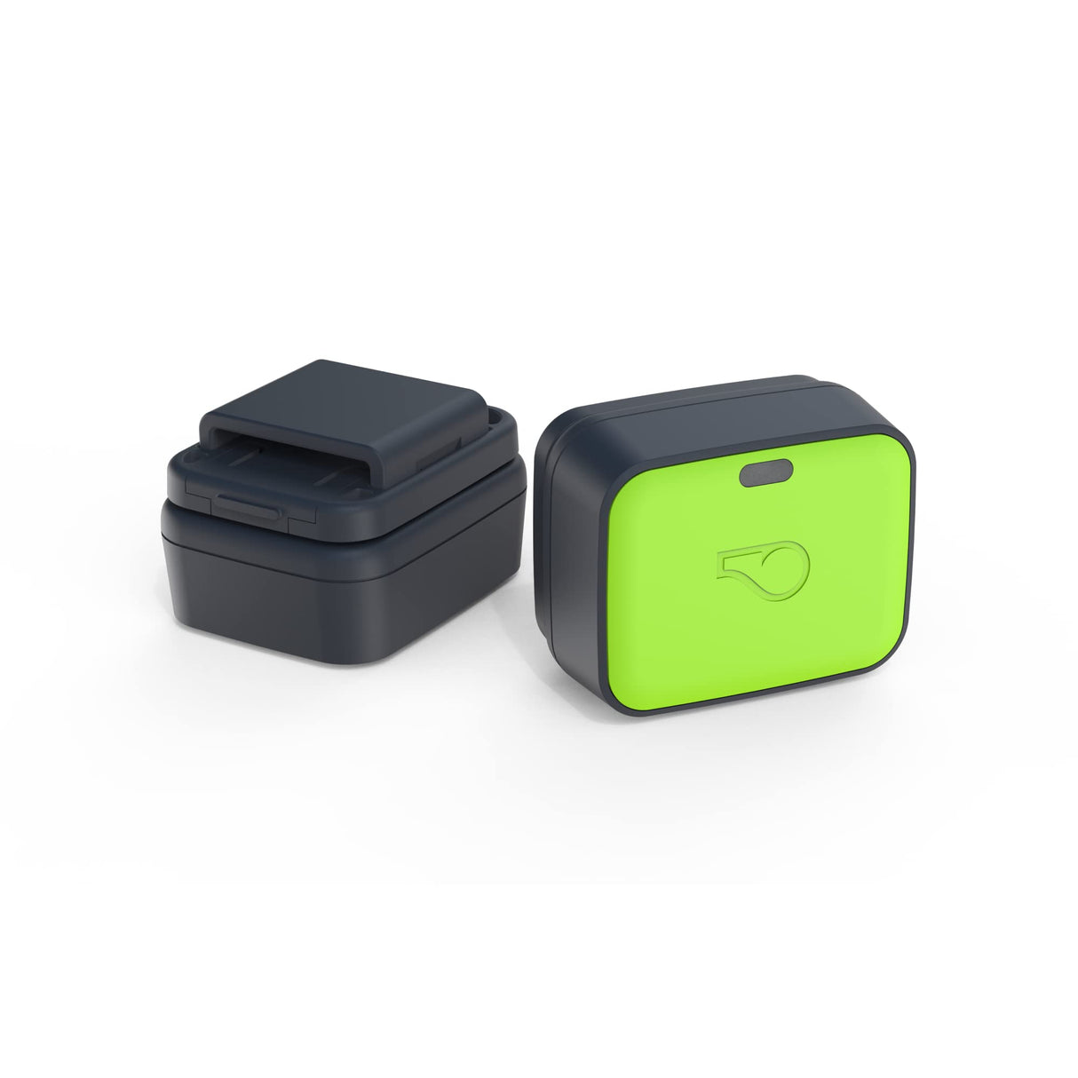 Whistle Go Explore/The Ultimate Health + GPS Location Tracker for Pets/Grey