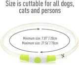 Colaseeme LED Dog Collar Light Up Dog Collars 1 Count USB Rechargeable TPU Glow Safety Basic Dog Collars, Please Do Not Use Fast Charging (Green)