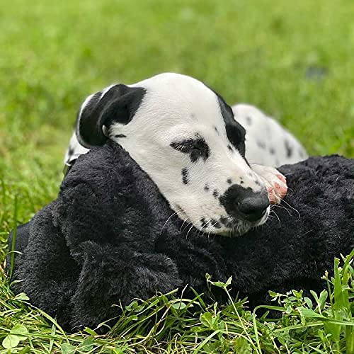 Original Snuggle Puppy Heartbeat Stuffed Dog Toy. Puppy Toy for Anxiety Relief, Calming Aid, and Comfort Toy for Behavioral Training in Golden