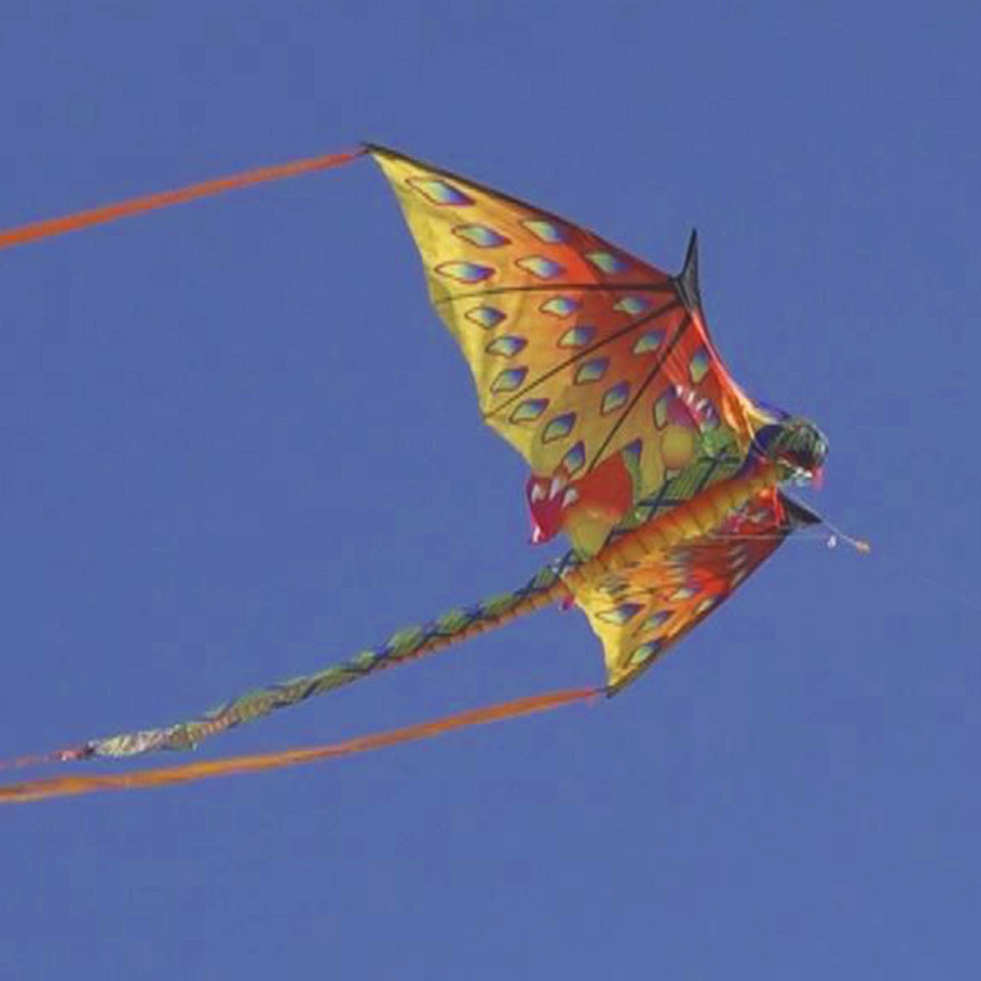 WindNSun Supersize 3D Nylon Kites