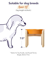 LE TAUCI Dog Bowls Slow Feeder Ceramic, 1.5 Cups Slow Feeding Dog Bowl Small Medium Breed, Puppy Slow Feeder Bowl for Fast Eater, Dog Dishes to Slow Down Eating, Puzzle Dog Food Bowl, Maze Purple